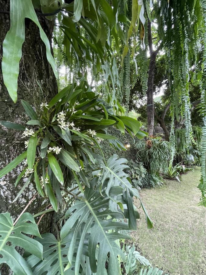 Iguanazu Bed & Breakfast Guayaquil Eksteriør bilde